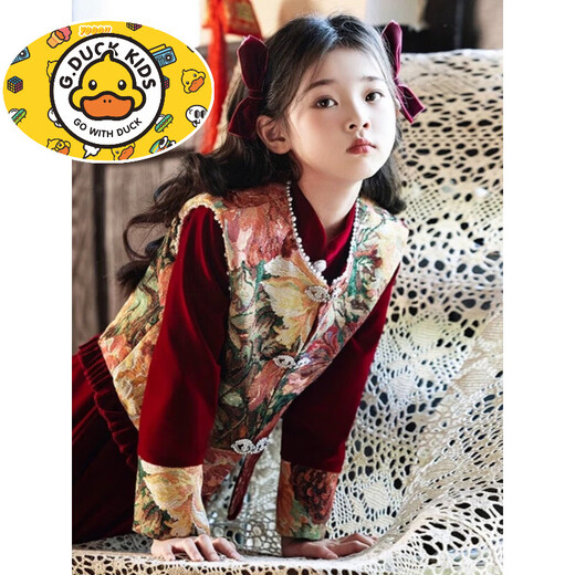 HAL.DUCK Girls Red New Chinese Dress New Year's Clothes Autumn and Winter Children's Girls Birthday Princess Dress Suits Performance Costumes 120 Sizes (About 4-6 Years Old and Height Around 113cm) One-size-fits-all Vest and Velvet Skirt Suit