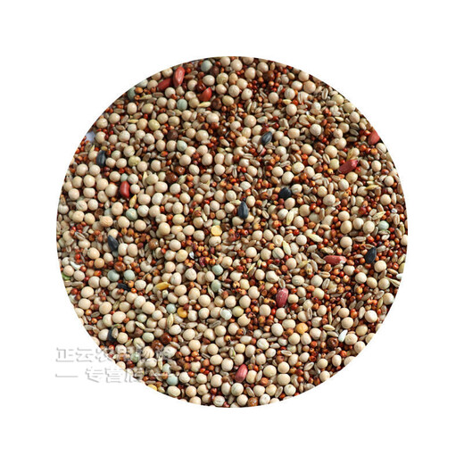 Pigeon food without corn pigeon food wholesale pigeon food racing pigeon nutritional food pigeon food young pigeon meat pigeon old pigeon pigeon food pigeon food with corn 5Jin Jin is equal to 0.5 kg
