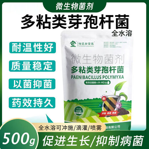 Dangxiu Paenibacillus polymyxa controls soil-borne diseases, universal plant seedlings and rooting improvement live bacteria, Paenibacillus polymyxa 500g*1
