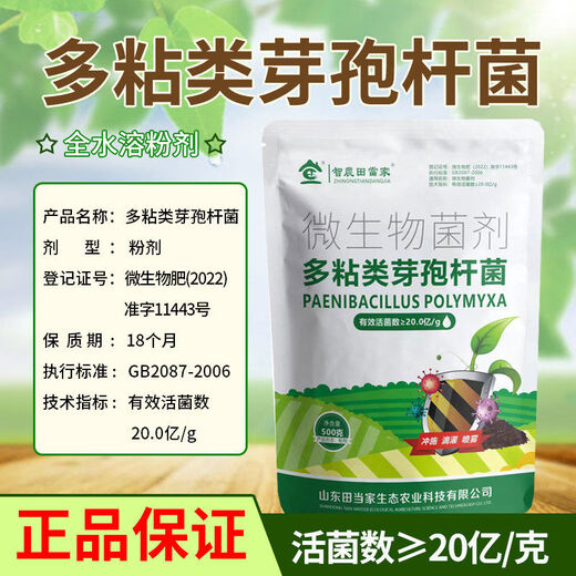 Dangxiu Paenibacillus polymyxa controls soil-borne diseases, universal plant seedlings and rooting improvement live bacteria, Paenibacillus polymyxa 500g*1