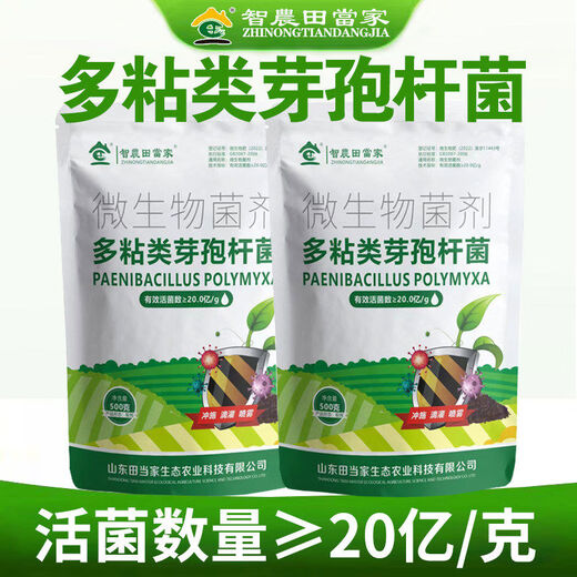 Dangxiu Paenibacillus polymyxa controls soil-borne diseases, universal plant seedlings and rooting improvement live bacteria, Paenibacillus polymyxa 500g*1