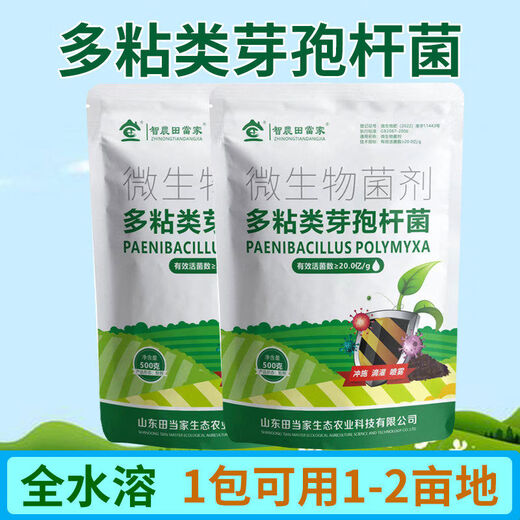 Dangxiu Paenibacillus polymyxa controls soil-borne diseases, universal plant seedlings and rooting improvement live bacteria, Paenibacillus polymyxa 500g*1