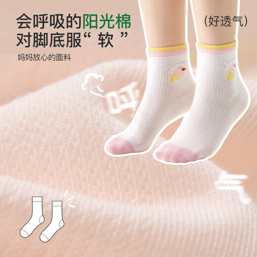 Niduoxiong Girls' Socks Spring and Summer Thin Cotton Socks Children's Boneless Antibacterial Mesh Socks Mid-calf Girls Students S6231 Milk Brown Bear Mesh Breathable 10A Antibacterial 5-7 Years Old (Suitable for Feet Length 16-18cm)