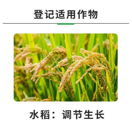 14-Hydroxybrassinolide sterol anti-stress increase yield antidote pesticide damage plant growth regulator 100g