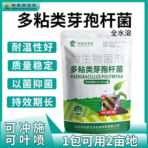Dangxiu Paenibacillus polymyxa controls soil-borne diseases, universal plant seedlings and rooting improvement live bacteria, Paenibacillus polymyxa 500g*1