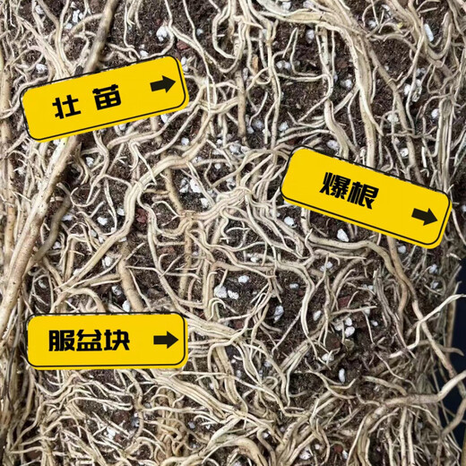 Flower soil, living soil, formula type peat soil, universal nutrient soil, gardening nutrition soil, flower seeds, vegetable soil acid, 2.0 light stone plate, one bag (5.5 Jin Jin is equal to 0.5 kg 11.5 liters)