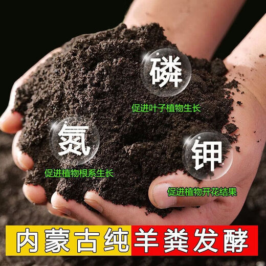 Guzhi 1000 Jin Jin is equal to 0.5 kg or more - Inner Mongolia pure sheep manure manufacturer orchard field vegetable fertilization planting manure fermentation buy 500 Jin Jin is equal to 0.5 kg granules + more than 500 Jin Jin is equal to 0.5 kg powder
