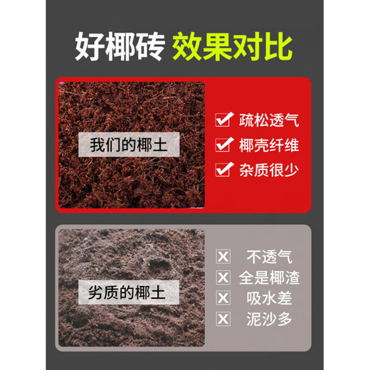 Flower Soil Coconut Brick Nutritional Soil Universal Flower and Vegetable Desalination Flower Soil Brick Large Turtle Climbing Pet Mat Potted Plant Imported Large Coconut Brick 2 Pieces + 9Jin Jin equals 0.5kg Bio-organic Fertilizer Suitable for Growing Vegetables