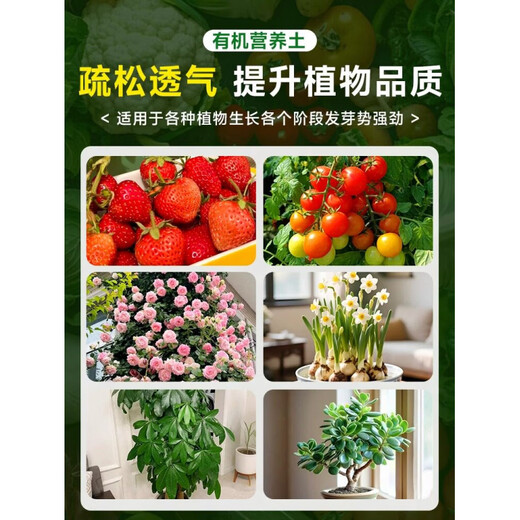 Nutrient soil, nutritious soil, universal soil for growing vegetables, special soil for home use, loose and breathable soil for strawberry succulent seedlings, universal organic nutritional soil 10Jin Jin is equal to 0.5kg