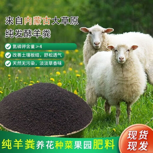 Guzhi 1000 Jin Jin is equal to 0.5 kg or more - Inner Mongolia pure sheep manure manufacturer orchard field vegetable fertilization planting manure fermentation buy 500 Jin Jin is equal to 0.5 kg granules + more than 500 Jin Jin is equal to 0.5 kg powder
