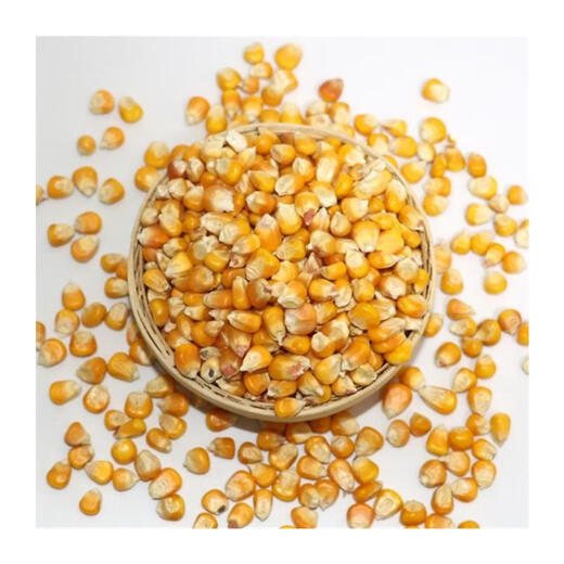 100 Jin Jin is equal to 0.5 kilograms of dry corn kernels to feed chickens. 50 Jin Jin is equal to 0.5 kilograms. Corn seeds for raising chickens, ducks and geese. Pigeon grain corn. 10 Jin Jin is equal to 0.5 kilograms. 30 feed. 50 Jin Jin is equal to 0.5 kilograms of corn kernels.