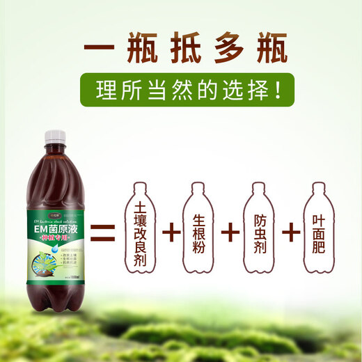 EM bacteria cultivation special for fruit trees and flowers microbial fertilizer EM original compound liquid soil conditioner to promote root growth 1 bottle * 1000 ml