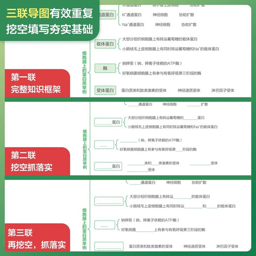 JD.com обеспечивает 2024 г. Хансхуй Чоу учеников средней школы биология базовые знания нулевые основы генетики Руководство по сбору генетики Пота студентов студентов. Биология колледжа. Один и два раунда обзор и образование.