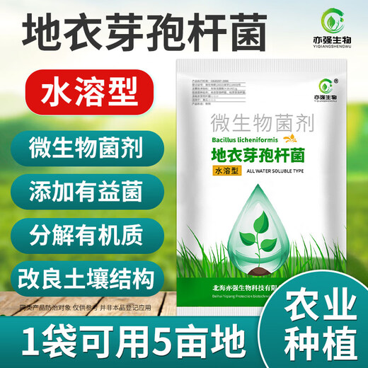 Yong Huan Water-Soluble Bacillus Licheniformis Soil Fertilizer Fertilizer Effective Microbial Bacteria Planting Repeated Crop Dissolving Bacteria Fully Water-soluble 500g/pack