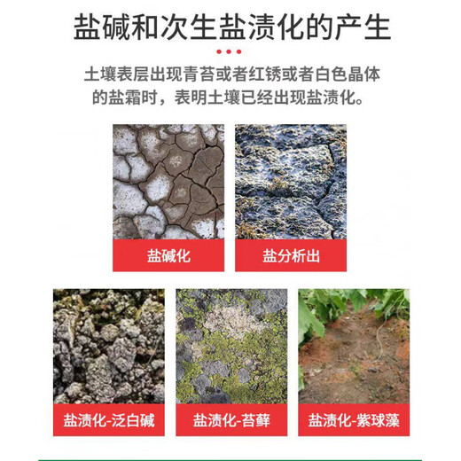 Fantasy South Africa Kaipu giant algae root saline-alkali soil conditioner, eliminate salt, remove alkali and break hardened soil agent without deep plowing, reduce salt and promote growth 10kg*1 barrel