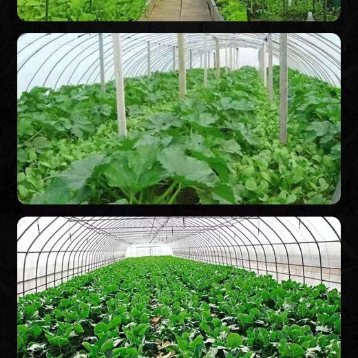Yonghuan Jetta plant nutrient solution promotes rooting and germination, special soil conditioner for greenhouse vegetable fields, universal for all seasons, plant nutrient solution 2.5kg