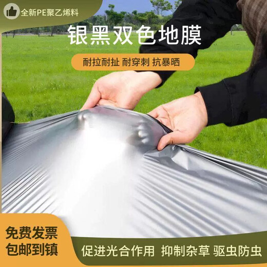 Gefuya Silver and Black Two-color Mulch Film Agricultural Black Film Reflective Insect Repellent and Weed Control Orchard Agricultural Planting Special Porous Mulch 20Jin Jin equals 0.5kg Silver Black 2s 12 meters wide 350 meters long for field use and tramplable