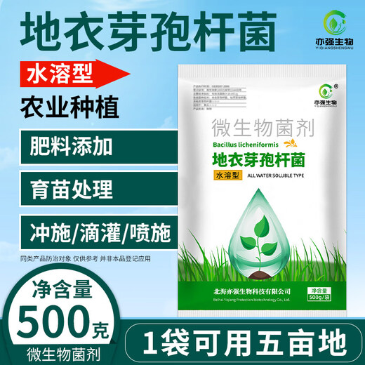 Yong Huan Water-Soluble Bacillus Licheniformis Soil Fertilizer Fertilizer Effective Microbial Bacteria Planting Repeated Crop Dissolving Bacteria Fully Water-soluble 500g/pack