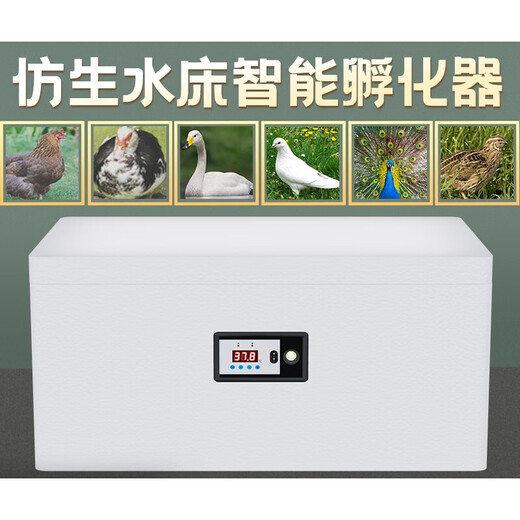 CLCEY chick incubator fully automatic 2024 small household smart chicken, duck, goose, pigeon, rutin, quail egg incubator 104 pieces fully automatic dual electric temperature and humidity dual display + five modes