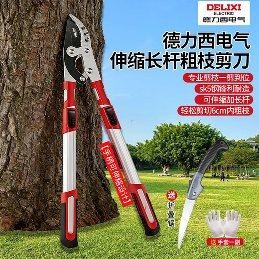 Delixi garden scissors, fruit tree pruning branches, powerful pruning, thick branch flower shears, large labor-saving gardening tools, manual agricultural tools