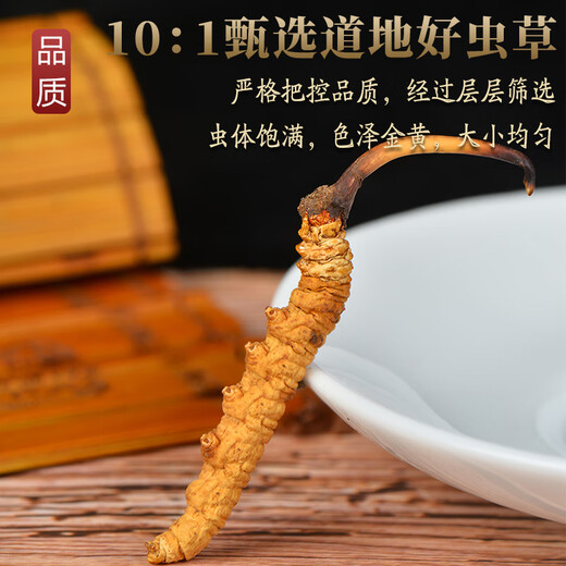 雄风道冬虫夏草 藏区雪域虫草2根一克干货冬虫草送礼佳品 50根 礼盒装
