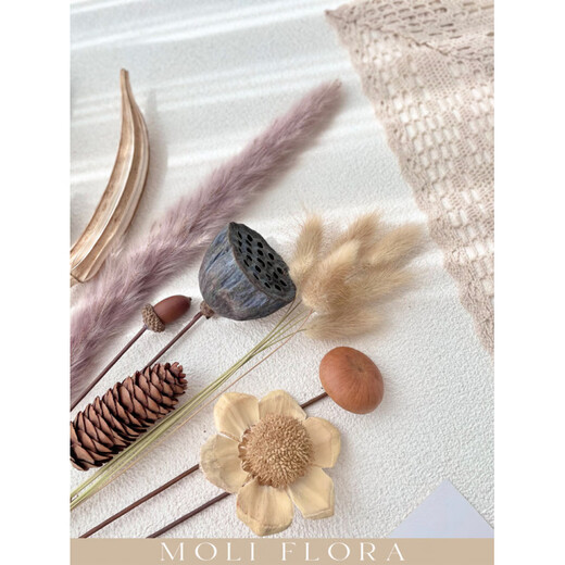 Jatu dace dried flowers and branches diy material bouquet lotus reed cotton pine cones real flowers air-dried living room decoration flower arrangement 1 pine cone dried flower bag