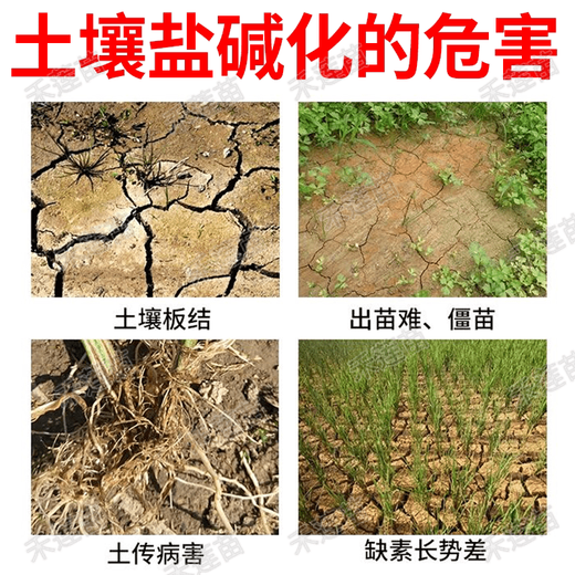 Pick-up cat saline-alkali land soil conditioner, anti-salt-alkali soil special fertilizer, hardening special conditioner, loosening and activation effective, no more saline-alkali soil 10 bags, soil improvement, root nourishment, high yield