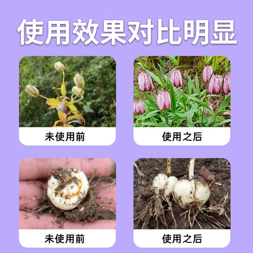 Yonghuan Fengzetong Fritillaria special soil conditioning rooting, strong seedlings and dead trees control soil-borne root rot 1 bag (one acre)