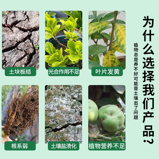 Yonghuan 1 billion active bacteria agricultural microbial inoculant granules 40kg material to improve soil general organic fertilizer for fruit and vegetable plants 40Jin Jin is equal to 0.5kg shipped in half a bag universal type