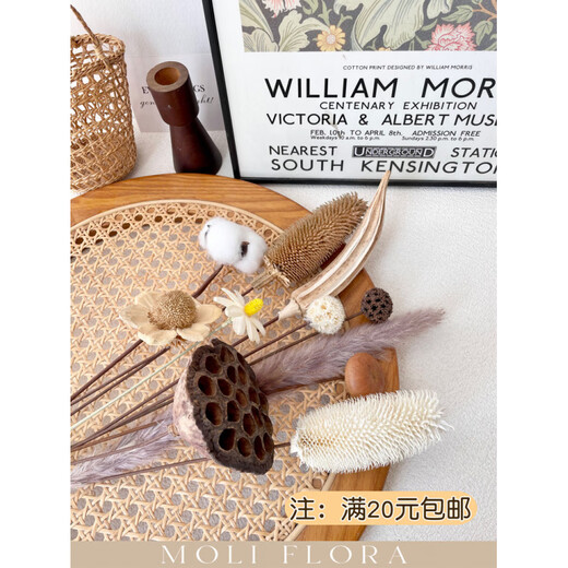 Jatu dace dried flowers and branches diy material bouquet lotus reed cotton pine cones real flowers air-dried living room decoration flower arrangement 1 pine cone dried flower bag