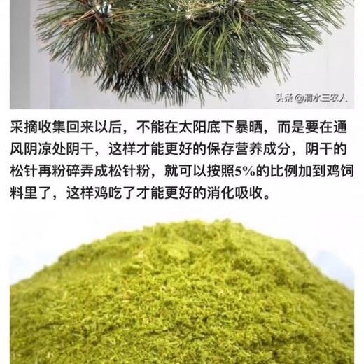 Cat pine needle powder feed for general use for veterinary livestock and poultry to promote egg production and milk production 80 Jin Jin is equal to 0.5 kg 5 Jin Jin is equal to 0.5 kg Feed pine needle powder for general use for veterinary livestock and poultry to increase egg production