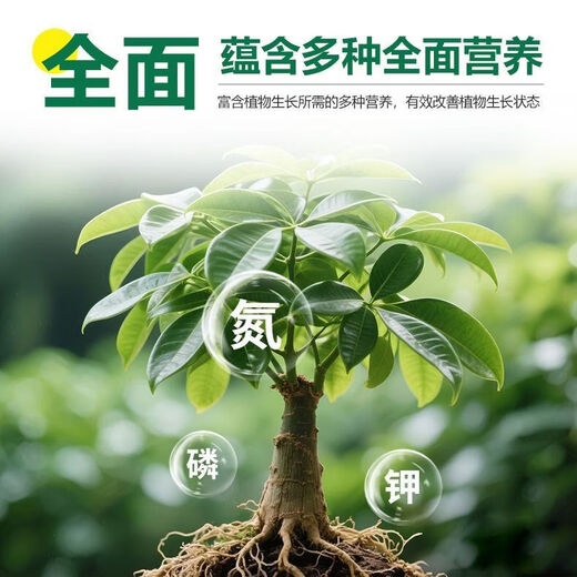 Money tree regeneration agent to revive flowers, green plants, potted plants, general light rod fertilizer, yellowing and succulent growth nutrient solution, money tree special regeneration agent, 6 boxes/36 pieces