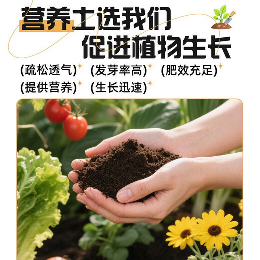 土壤营养土通用型100斤种菜养花通用专用花土育苗疏松透气土壤种 400斤通用有机营养土足斤足两 破损包赔 无异味 无虫卵