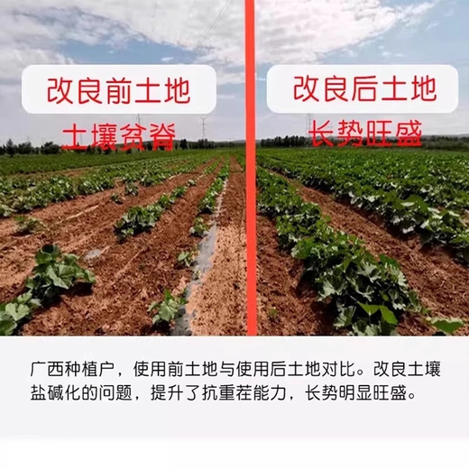 Lockerungsessenz, Bodenlockerungsaktivator, verhindert Verhärtung, tiefes, bodenbearbeitungsfreies Artefakt, fördert das Wachstum, schwarzer hydratisierter Dünger, universeller Typ, 2 Beutel Dünger, feuchtigkeitsspendend, erhältlich für 6 Acres