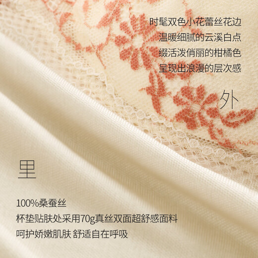 金三塔无钢圈真丝聚拢文胸透气舒适唯美轻薄仙女内衣蕾丝文胸 云曦白 S