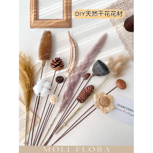 Jatu dace dried flowers and branches diy material bouquet lotus reed cotton pine cones real flowers air-dried living room decoration flower arrangement 1 pine cone dried flower bag