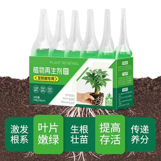 Money tree regeneration agent to revive flowers, green plants, potted plants, general light rod fertilizer, yellowing and succulent growth nutrient solution, money tree special regeneration agent, 6 boxes/36 pieces