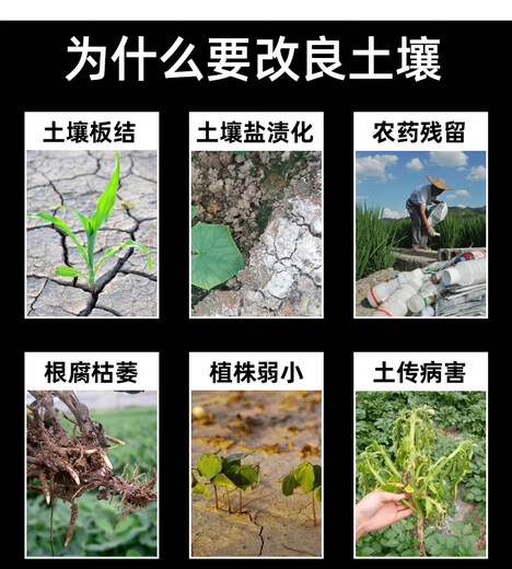 Soil conditioner to improve hardened saline-alkali land, general alkaline soil conditioner, loosening essence, loosening activator, live fungus rooting liquid 2KG