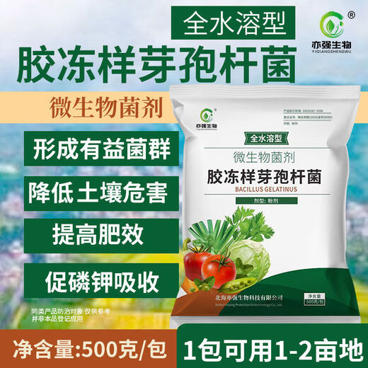Yiqiang Biological fully water-soluble Bacillus jelly 10 billion improved soil potassium-solubilizing planting fertilizer plant growth inhibition fully water-soluble 500
