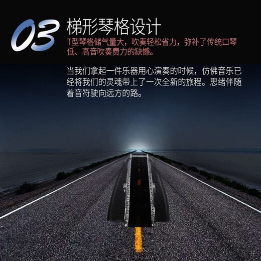 天鹅德国进口音簧24孔高端复音C调口琴高级成人专业重音演奏口琴乐器 24孔黑色复音C调【升级款】