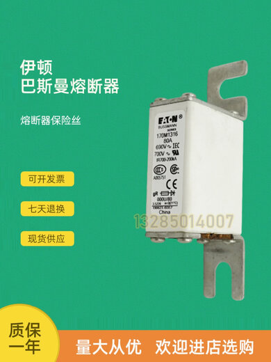 Basman fast fuse 170m1316 1317 1318 1319 1320 1321 1322 now 170M1322