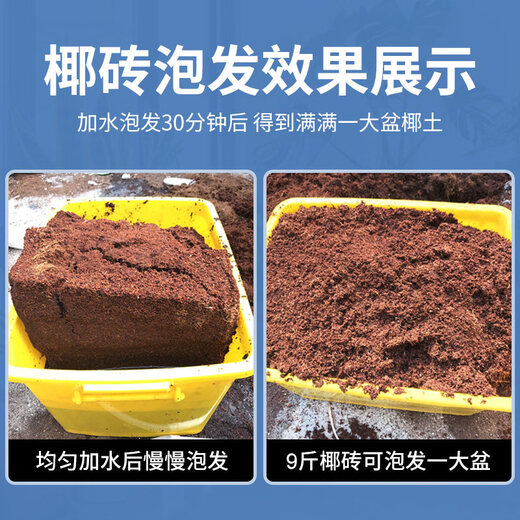 Coconut brick nutritious soil for growing vegetables, universal desalted coconut bran chunks, brick soil, turtle hibernation flower cultivation soil, planting soil, 1 large brick, full weight 9Jin Jin is equal to 0.5kg