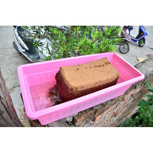 Coconut powder, coconut bricks, coconut bran, coconut soil, orchid soil, nutritious soil, soilless cultivation, pet bedding, vegetable planting, desalted soil, 1 coconut brick + 1 bag of 200g organic fertilizer