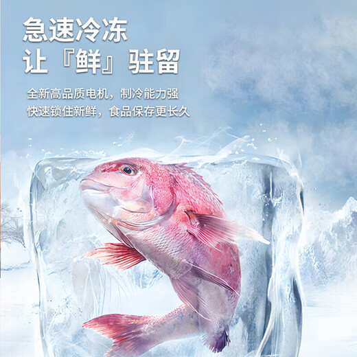 Chigo double-door refrigerator small rental dormitory double-door refrigeration and freezing first-class energy efficiency household large-capacity office refrigerator two-door micro-frost first-class energy efficiency 76L silver efficient freshness copper tube rapid cooling