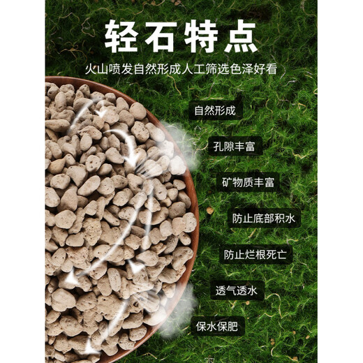 Pumice particles, pumice bowl bottom, orchid stone, comparable to Hinata stone, succulent orchid pavement bottom, aquarium filter material, whole package, 6-9MM orchidaceae pumice, 5 liters, finely screened large particles