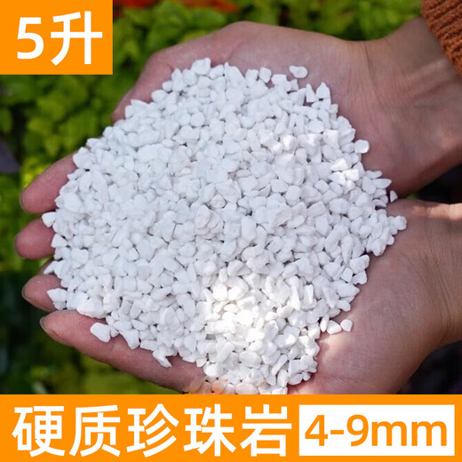 Perlite hard 80 liter whole package plant universal nutrition soil-rooted orchid succulent Phalaenopsis blueberry 5 liters 4-9mm super hard perlite