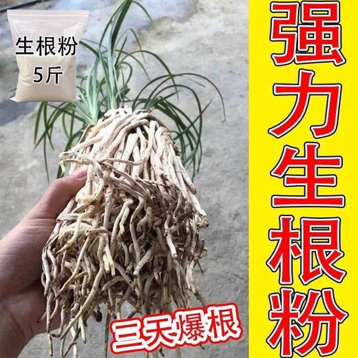Sprinkle and explode the roots. Powerful rooting powder for rooting and multi-bacterial fertilizer. Flower cuttings and transplants to strengthen roots and seedlings. 10Jin Jin is equal to 0.5kg. Rooting is multi-nutrient.