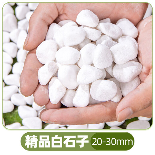 Colored ceramsite bottom ceramsite soil special filter flower pot fish tank bottom sand hydroponics small ceramsite pavement gardening diameter 20-30mm fine paving white stone 5Jin Jin equals 0.5 kg