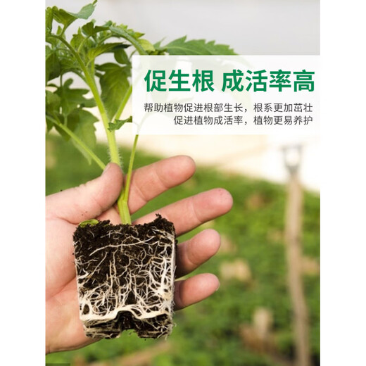 Humus leaf soil, special humus soil for Clivia, nutrient soil, planting soil, oak leaf orchid bonsai, acidic fine polishing, secondary fermentation, pure pine bark 5 liters (4-10mm)