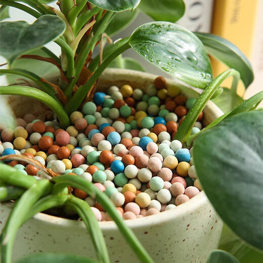 Colored ceramsite bottom ceramsite soil special filter flower pot fish tank bottom sand hydroponics small ceramsite pavement gardening diameter 20-30mm fine paving white stone 5Jin Jin equals 0.5 kg